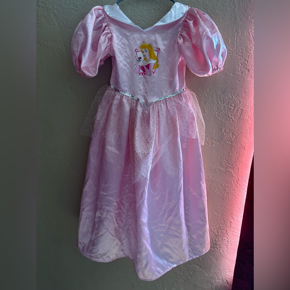 Princess Aurora Costume